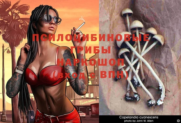 твердый Заволжск
