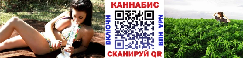 Купить  Каргат  Шишки марихуана индика 